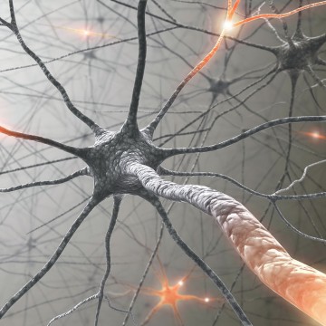 interdisziplinäre Fortbildung beim Berlin Brain Summit